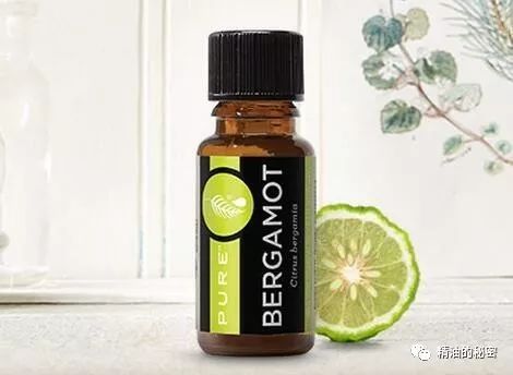 美乐家生姜精油的功效与作用,美乐家精油大全