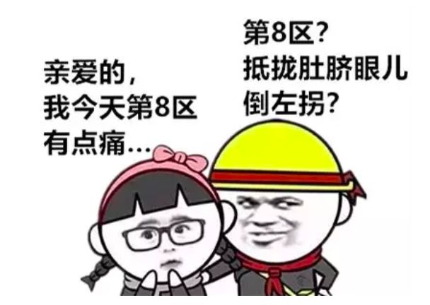 肚子的科普视频,科普人体肚子