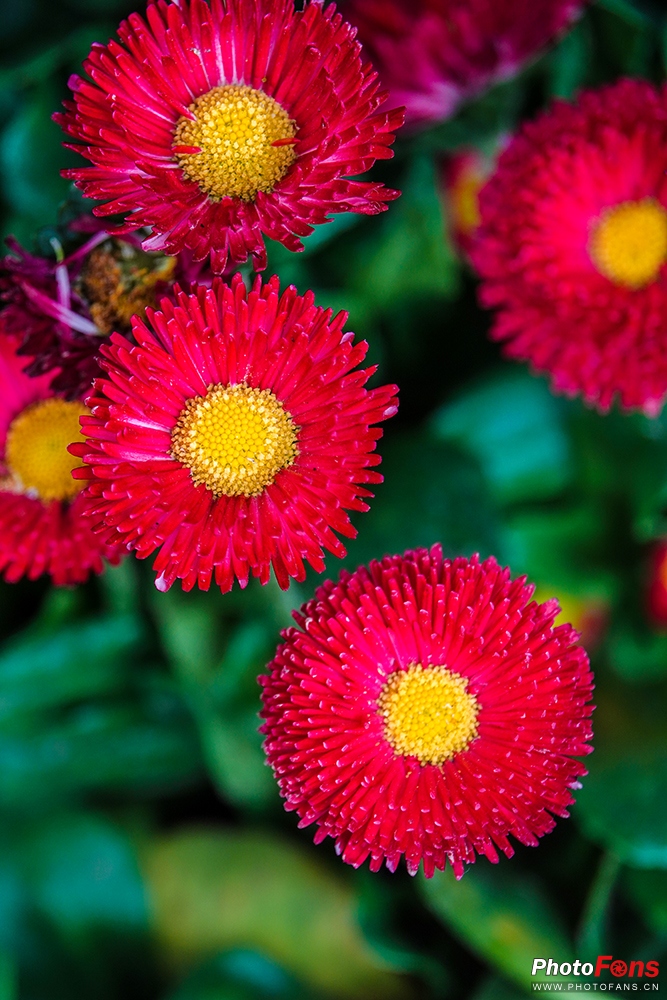 好雨知时节当春乃发生视频素材,索尼rx10iv视频性能