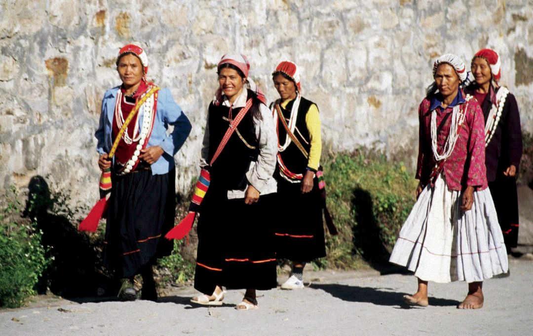 从寒冬到春天之路,从冬到春的旅程