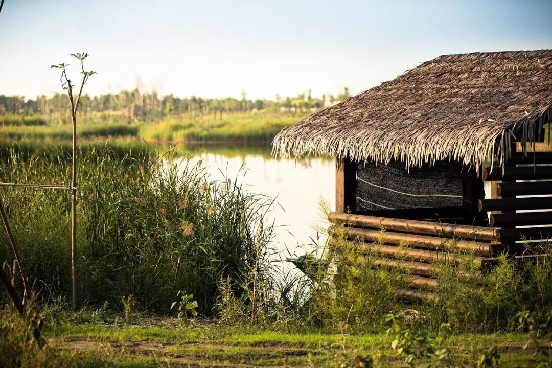 动物们嗷嗷待哺，在北京周边这个度假区里，你就是饲养员！