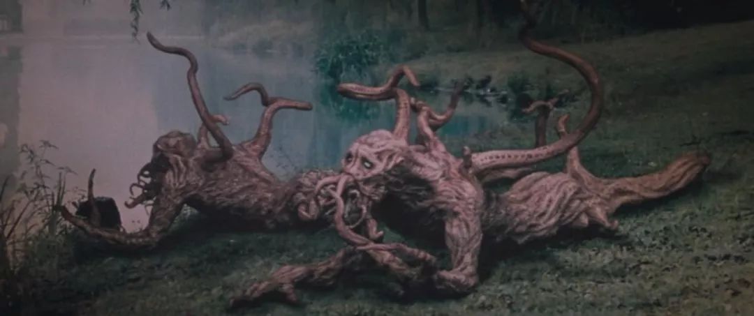 讨厌水象星座的依赖感,水形物语细思极恐细节