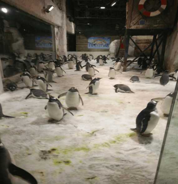 大连海边风光,想体验不一样的日出吗