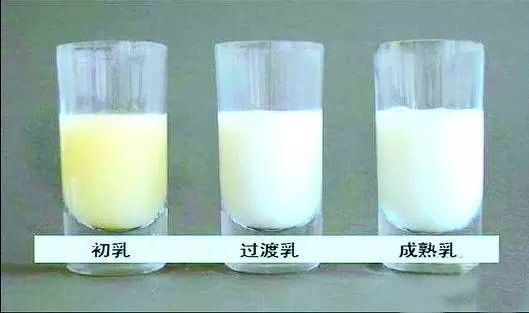 吃不到母乳有什么影响,宝宝吃不到后奶会长体重吗