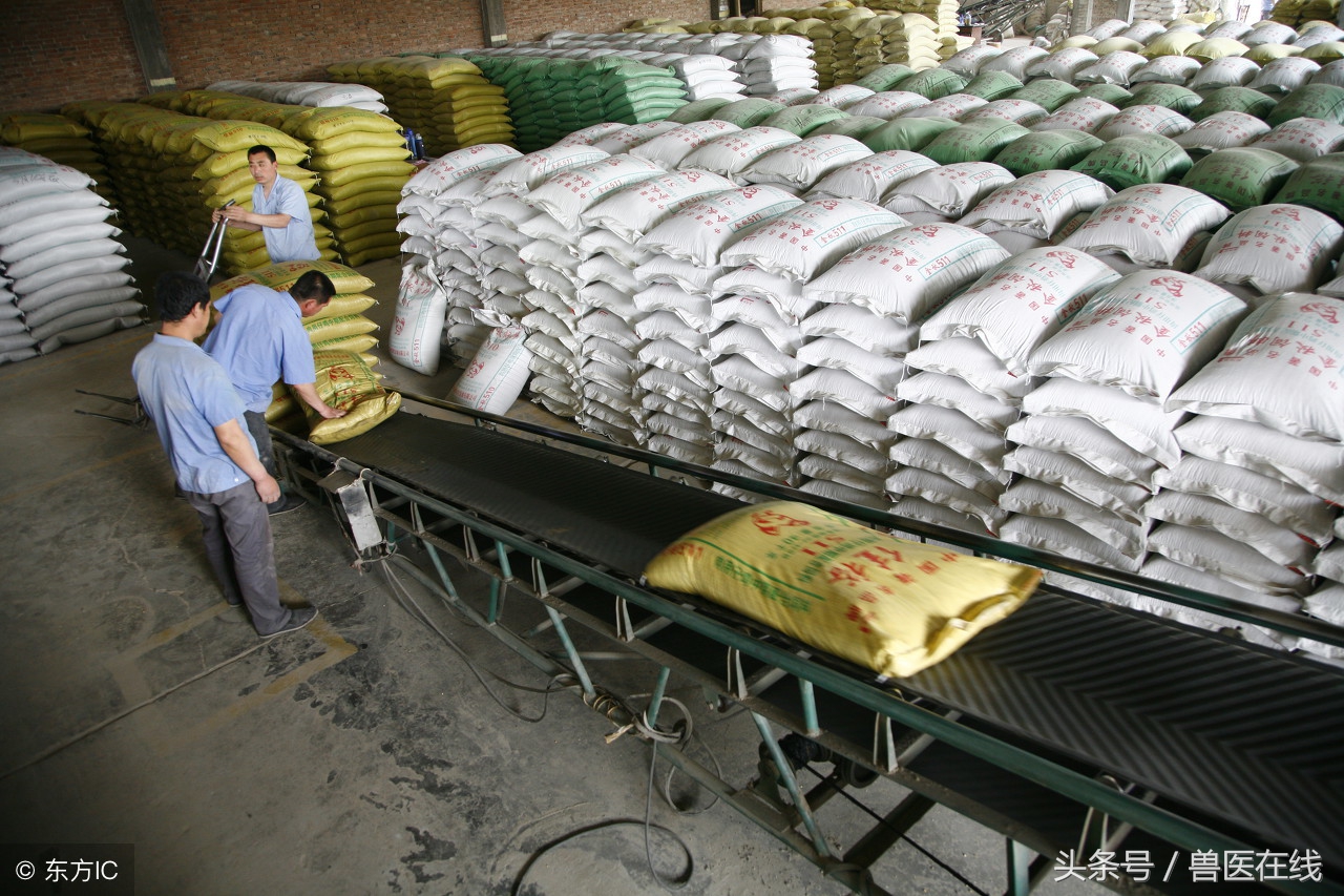 养猪是怎样提高生产效率的,如何提高养猪的人的技术