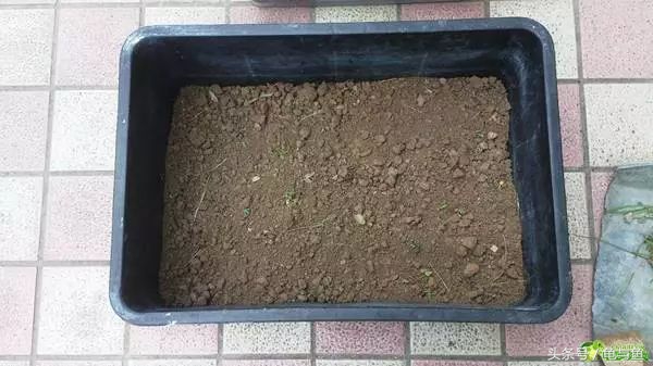 冬眠的正确疗法,冬眠的动物都怎么样越冬