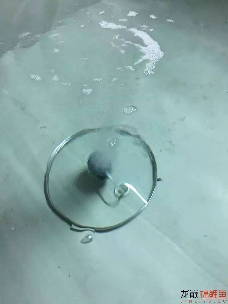 pp塑料锦鲤池,pp板材焊锦鲤池