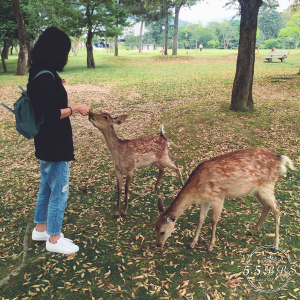 积家翻转红二手,积家翻转23款