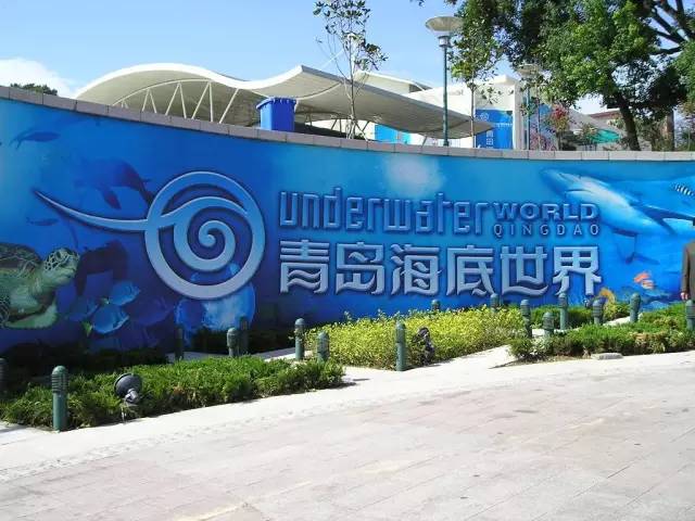 出行青岛攻略,青岛旺季住宿攻略