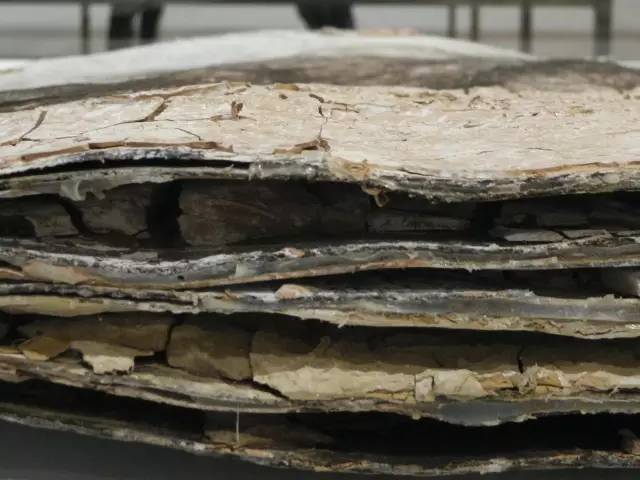 安塞姆基弗早年的经历,安塞姆·基弗个人简介