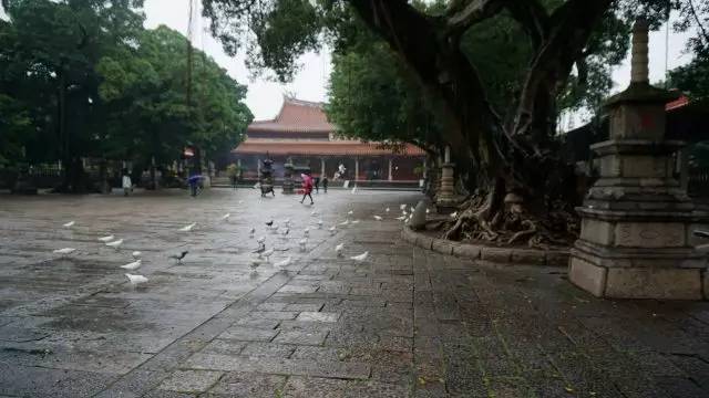 福建怎么玩最佳路线,近期福建怎么玩