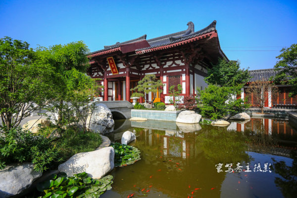 在酒店体验下厨的感受,在温泉池享受视觉与味觉双重盛宴