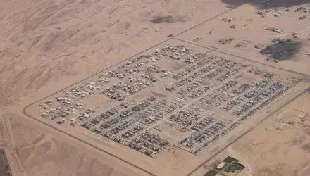 一广州人去迪拜,但最后回来哭着说