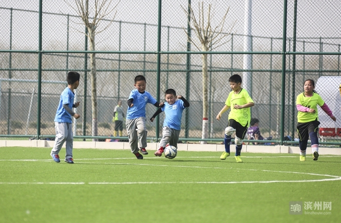 滨州足球小镇蓝图,滨州国际足球运动小镇规划图