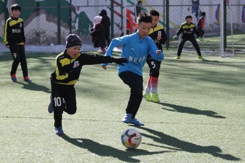 政府买单孩子喜欢哈市小学生家长：给三点半课后服务点赞