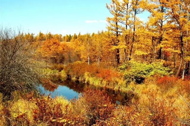 为什么阿尔山是欧洲风格,阿尔山为什么有国门