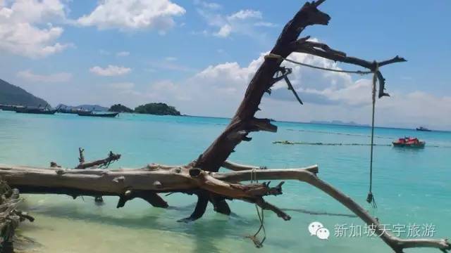 泰国的马尔代夫丽贝岛,泰国马尔代夫的海岛