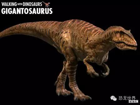 地球生物进化史第1集 (古生物三部曲bbc)