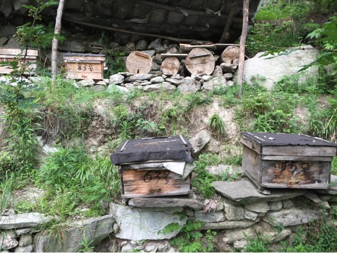 高山老巢土蜂蜜,真正的高山土蜂蜜