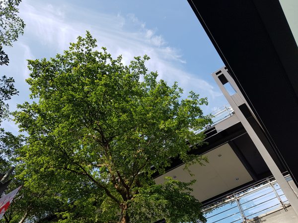 samsunggalaxys7粉色,三星galaxys7好不好