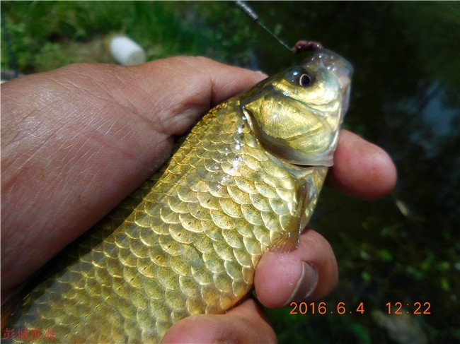 徐州钓鱼地方推荐野钓,徐州野钓地点推荐云龙