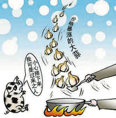 大蒜活血小偏方,大蒜治急症的最佳方法