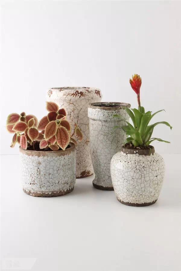 家里阳台养花怎么处理,夏季养花施肥有臭味怎样消除