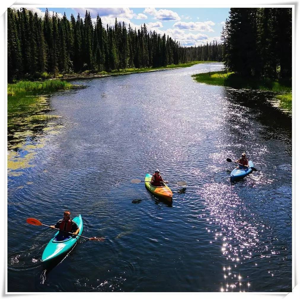 去加拿大零费用是真的吗,没钱到加拿大能生活吗