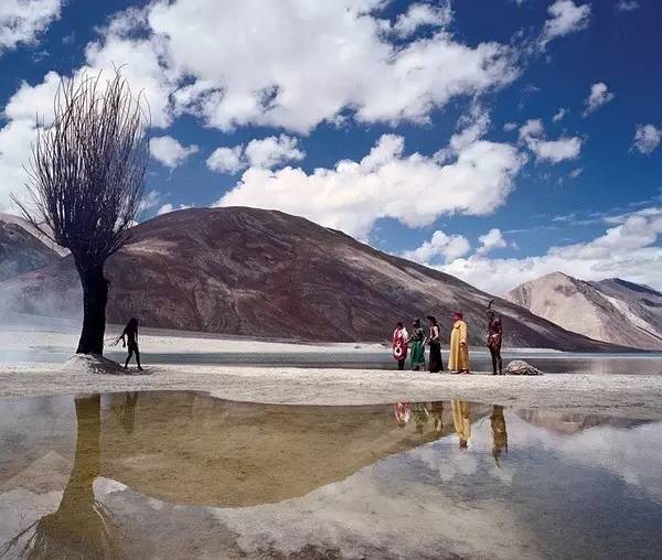 爱丽丝梦游仙境唯美景色,爱丽丝梦游仙境超美场景