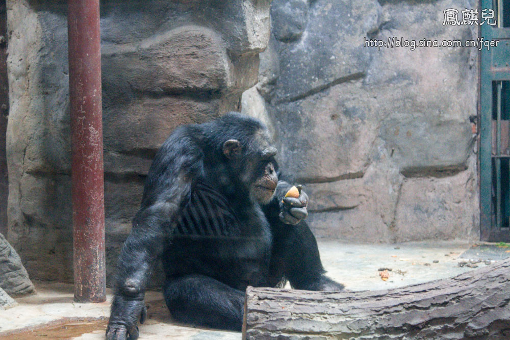 ​[凤麒儿]北京动物园——与动物的亲密接触