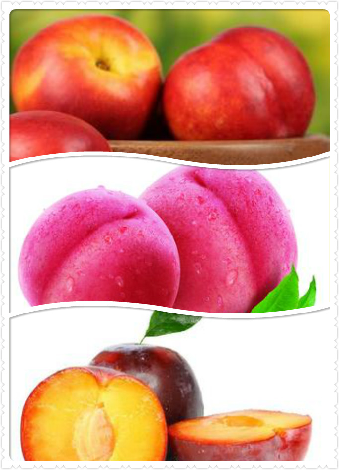 柑橘类水果吃多了有什么危害,水果其实不能乱吃你吃对了吗