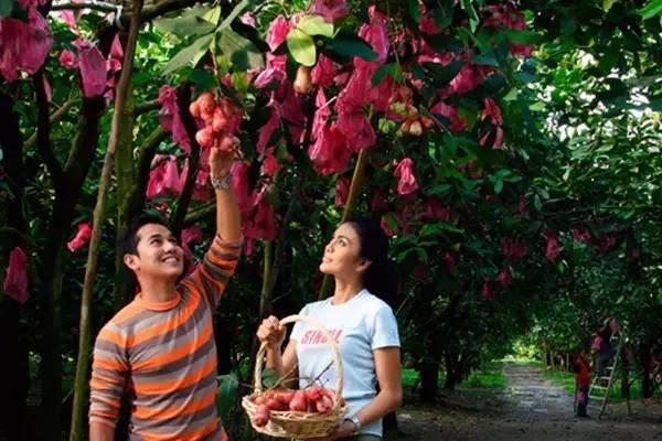 带娃游马来西亚带啥,去马来西亚适合带孩子去吗