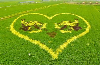 沈阳五一假期游乐场推荐,六一玩开心游乐园