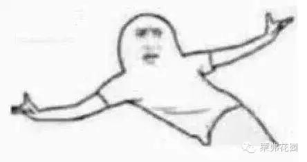 驾照最全攻略,驾照学习攻略