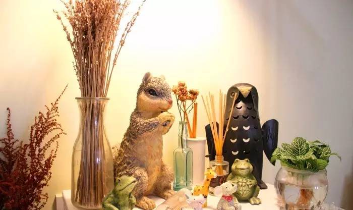 抹茶控广州增城,抹茶控的抹茶