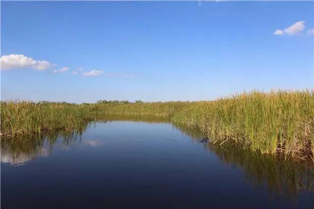 棕榈滩美景,棕榈滩沙滩