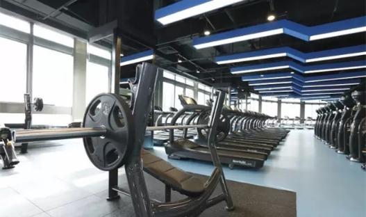 新玩法娱乐项目,新玩法体验