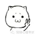 应粉丝要求：各类猫猫在北上广的报价，其他城市可以参考