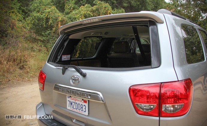 被遗忘的巨兽,被遗忘的远古巨兽