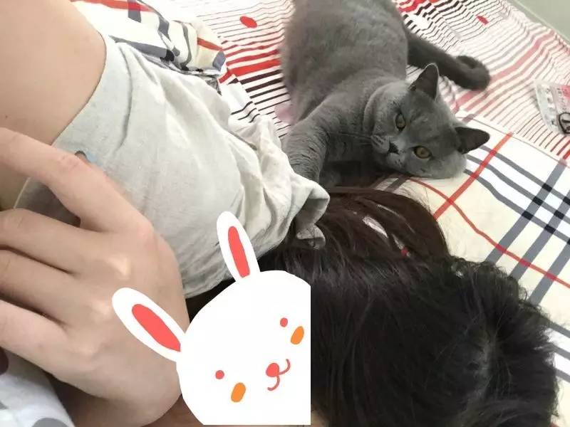 家有吉祥招财猫,家有招财猫还有聚宝盆