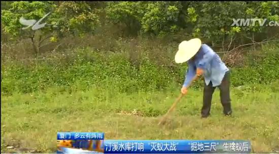 厦门“人蚁大战”！汀溪水库掘地三尺生擒食指粗的白蚁蚁后，这场面简直