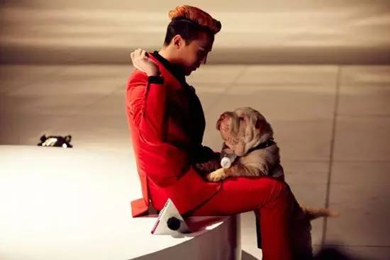 男生低调色系,男生一般适合什么色系