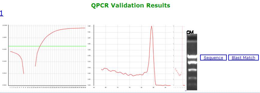 pcr引物设计软件优缺点,idt的在线引物设计工具