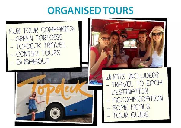 卓悦英语课程,卓悦英语速记