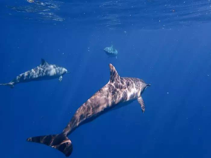 毛里求斯旅游度假区,毛里求斯旅行感觉