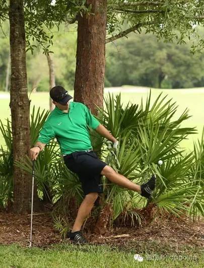 高尔夫10个忌讳,高尔夫10个技术