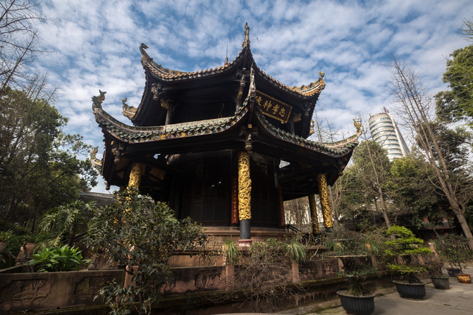 初来乍到1到6,从早到晚怎么逛成都