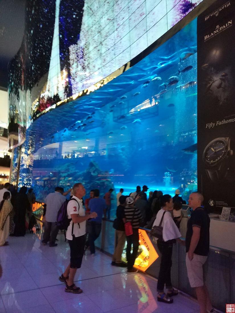 迪拜哈利法塔电梯速度,迪拜最高大楼哈利法塔