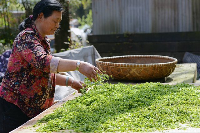 璇楁剰鏉窞瑗挎箹,璇楁剰姹熷崡姊﹂噷姘翠埂