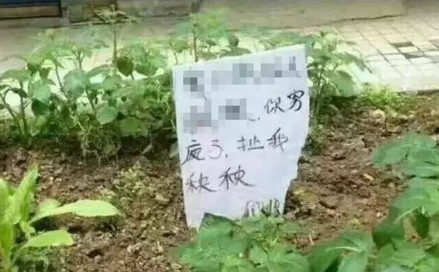 据说这张图只有男人看得懂,据说这张图只有近视的人才看得懂